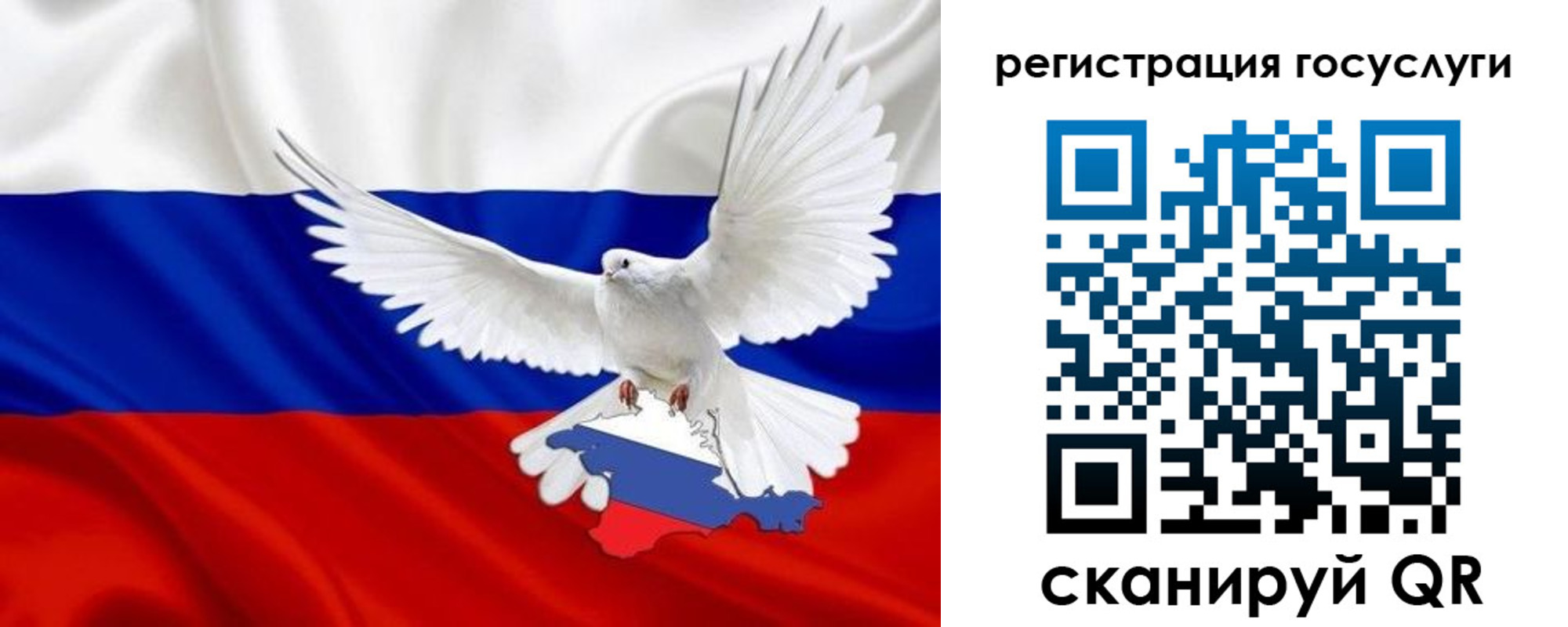 прописка законно в Чудово